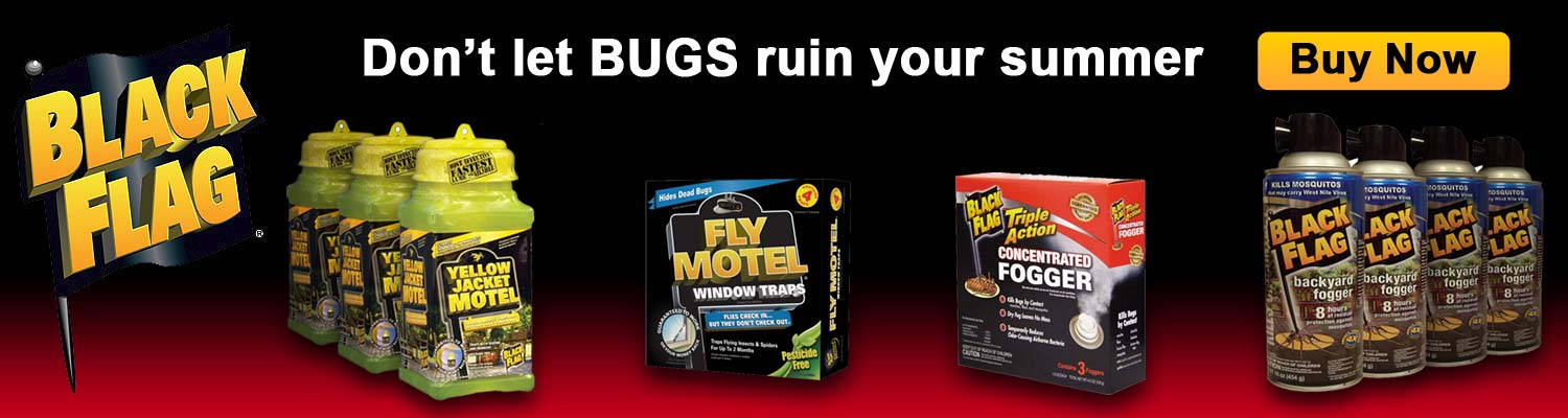 Black Flag Insect Control