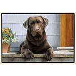 Chocolate Lab Porch Doormat