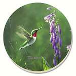 Hummingbird Hosta Coasters Set of 4