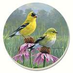 Beautiful Songbirds Goldfinches Coasters Set of 4