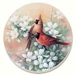 Cardinals Coasters Set of 4