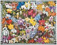 Orchids 1000 piece Puzzle