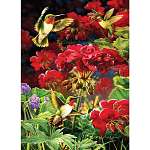 Ruby Geraniums 1000 pcs