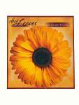 Sunflower Deco Parchment Leaves