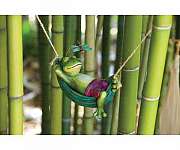 Day Dreamers Frog