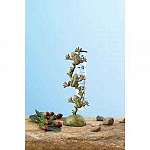Frog Rain Gauge