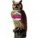 Solar Activate 18 inch Owl