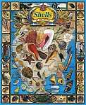 Shells of Our Shores 1000 piece Puzzle - puzzle