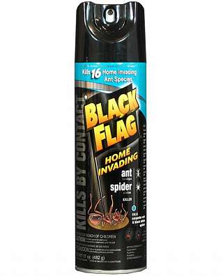 Black Flag Home Invasion Ant & Spider Killer