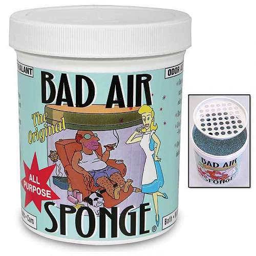 Bad Air Sponge Bad Air Sponge