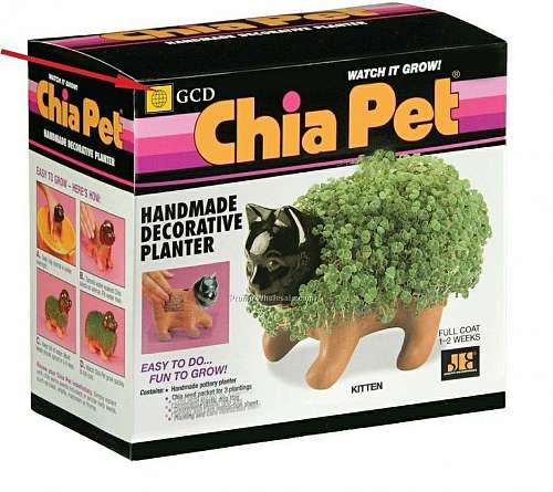 Chia Pet Chia Pet