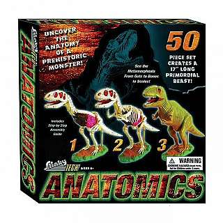 Anatomic Dinosaurs