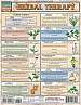 Quick Study Guides: Herbal Therapy