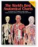 World's Best Anatomical Chart