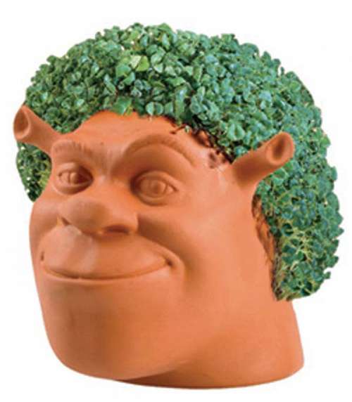 Chia Shrek Chia Shrek