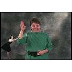 ASL Practice Series ASL Vocabulary, Affect...