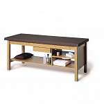 Professional Treatment Table with Storage