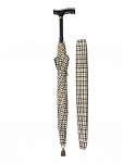 Umbrella Cane
