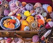 Vacation Treasures Puzzle - 1500 pc