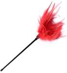 Le Plume Feather Tickler