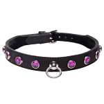 Leather Rhinestone Collar