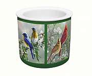 Beautiful Songbirds Dip Chiller