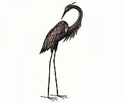 Bronze Heron 43 inch Preening