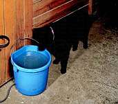 Heated 5 Gal. Flat Back Bucket