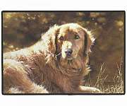 Heart of Gold Doormat