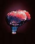 Mini Brain Electra Lamp
