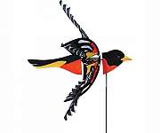 Bird Spinner Northern Oriole