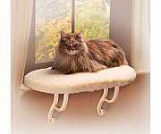 Kitty Sill