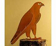 Peregrine Falcon Bird Silhouette