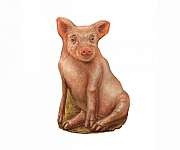 Pig Doorstop