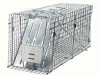 Raccoon Collap. Trap 32X10 12X12