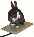 Small Animal Heated Pad