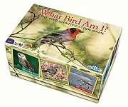 What Bird Am I