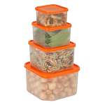 4 Piece Food Storage Container Set