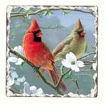Beautiful Songbirds Tumbled Tile Coasters Set of 4