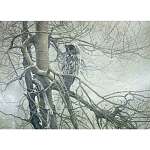 Ghost of the North 1000 piece Puzzle