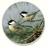 Beautiful Songbirds Chickadees Coasters Set of 4