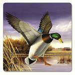 Water Birds Hardboard Coasters