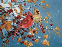Winter Cardinals 500 piece Puzzle