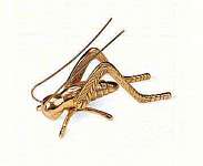 Hearth Cricket Dcor