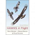 Hawks in Flight 2nd Edition - Book