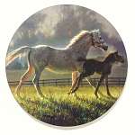Brand New Hope Coasters Set of 4