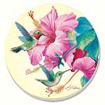 Rubythroat & Hibiscus Coasters Set of 4
