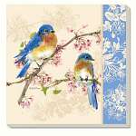 Bluebirds Coasters Set of 4