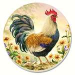 Country Charm Coasters Set of 4