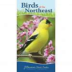 Bird Quick Guide - Book